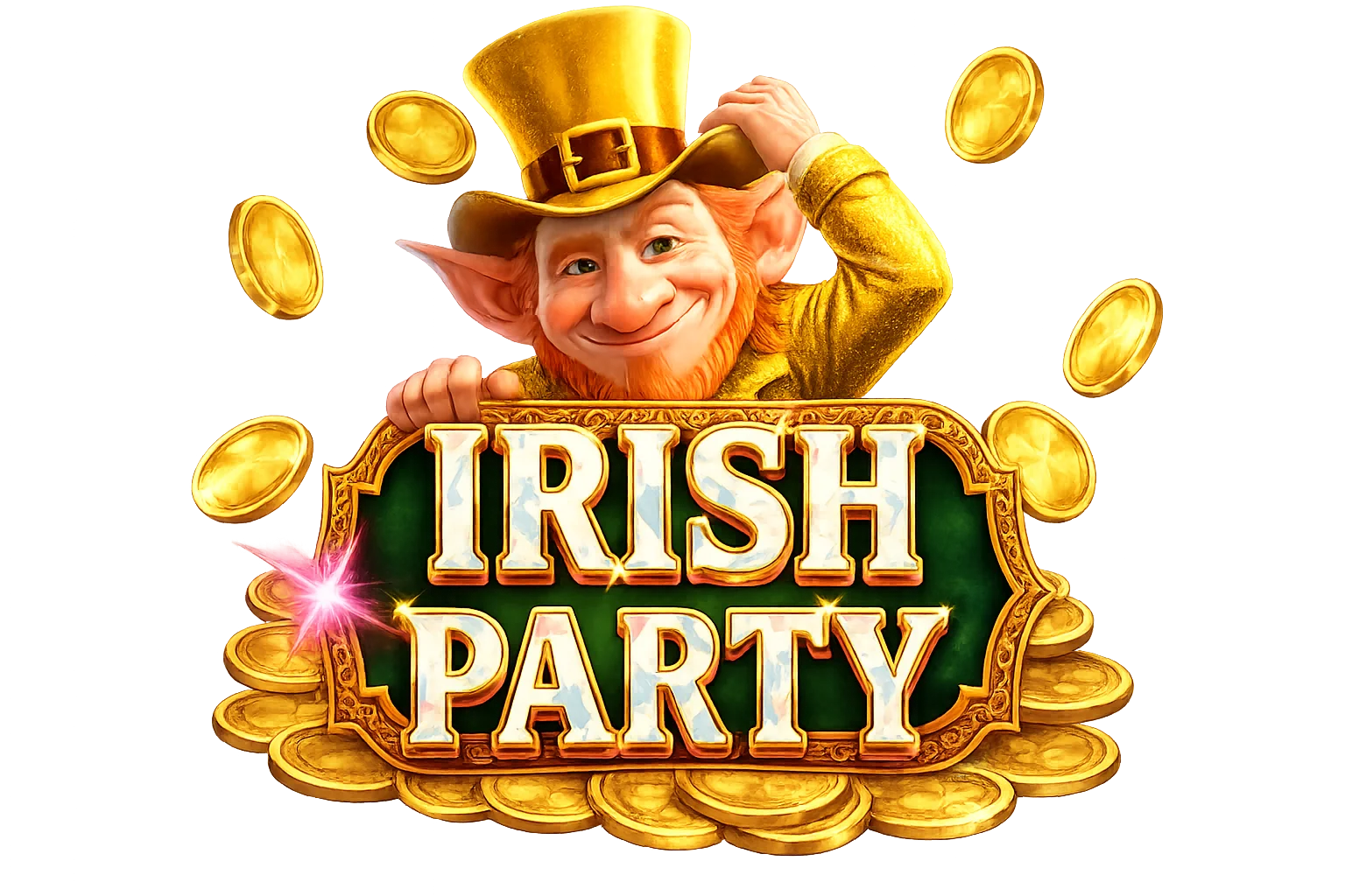 Terms and Conditions irishparty
